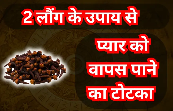 2 लौंग के उपाय से प्यार को वापस पाने का टोटका